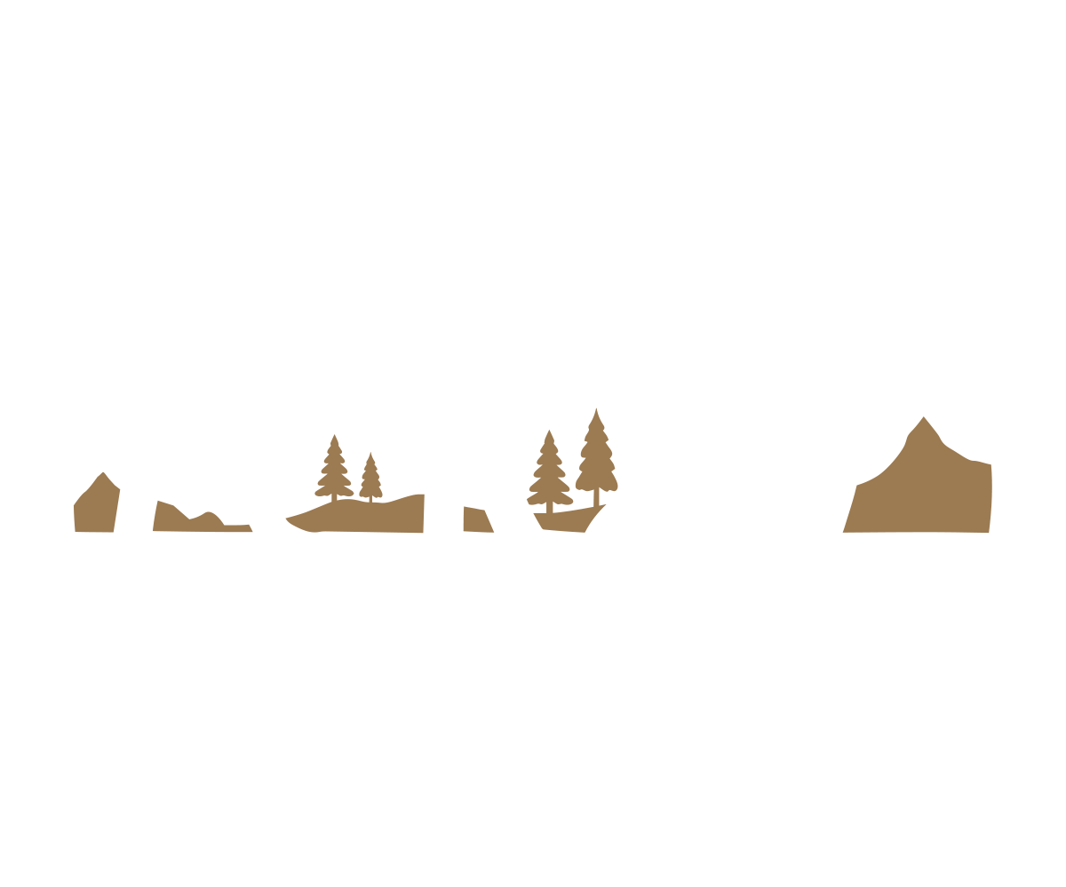 Lost and Found Tracking